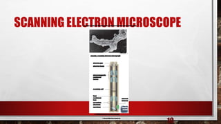 SCANNING ELECTRON MICROSCOPE
10
amoeba,scanningelectronmicrograph
electrongun
electronbeam
electromagnetic
condenser
lenses
scanningcoil
final
condenser
lens
secondary
electrons
specimen
electron
detector
c. Scanningelectronmicroscope
500 m
TV
viewing
screen
© Kessel/Shih/Peter Arnold, Inc.
Copyright© TheMcGraw-HillCompanies,Inc.Permissionrequiredforreproductionordisplay.
µ
 