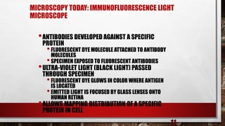 MICROSCOPY TODAY: IMMUNOFLUORESCENCE LIGHT
MICROSCOPE
•ANTIBODIES DEVELOPED AGAINST A SPECIFIC
PROTEIN
•FLUORESCENT DYE MOLECULE ATTACHED TO ANTIBODY
MOLECULES
•SPECIMEN EXPOSED TO FLUORESCENT ANTIBODIES
•ULTRA-VIOLET LIGHT (BLACK LIGHT) PASSED
THROUGH SPECIMEN
•FLUORESCENT DYE GLOWS IN COLOR WHERE ANTIGEN
IS LOCATED
•EMITTED LIGHT IS FOCUSED BY GLASS LENSES ONTO
HUMAN RETINA
•ALLOWS MAPPING DISTRIBUTION OF A SPECIFIC
PROTEIN IN CELL
11
 