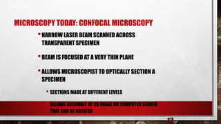MICROSCOPY TODAY: CONFOCAL MICROSCOPY
•NARROW LASER BEAM SCANNED ACROSS
TRANSPARENT SPECIMEN
•BEAM IS FOCUSED AT A VERY THIN PLANE
•ALLOWS MICROSCOPIST TO OPTICALLY SECTION A
SPECIMEN
• SECTIONS MADE AT DIFFERENT LEVELS
• ALLOWS ASSEMBLY OF 3D IMAGE ON COMPUTER SCREEN
THAT CAN BE ROTATED
12
 