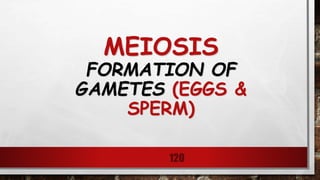 MEIOSIS
FORMATION OF
GAMETES (EGGS &
SPERM)
120
 