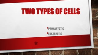 TWO TYPES OF CELLS
•PROKARYOTIC
•EUKARYOTIC
 