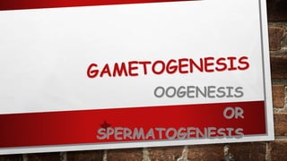OOGENESIS
OR
SPERMATOGENESIS
142
 