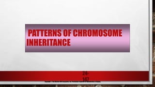 24-
147
PATTERNS OF CHROMOSOME
INHERITANCE
Copyright © The McGraw-Hill Companies, Inc. Permission required for reproduction or display.
 