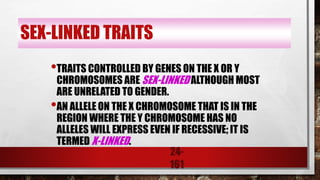 24-
161
SEX-LINKED TRAITS
•TRAITS CONTROLLED BY GENES ON THE X OR Y
CHROMOSOMES ARE SEX-LINKED ALTHOUGH MOST
ARE UNRELATED TO GENDER.
•AN ALLELE ON THE X CHROMOSOME THAT IS IN THE
REGION WHERE THE Y CHROMOSOME HAS NO
ALLELES WILL EXPRESS EVEN IF RECESSIVE; IT IS
TERMED X-LINKED.
 