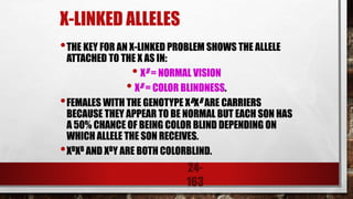 24-
163
X-LINKED ALLELES
•THE KEY FOR AN X-LINKED PROBLEM SHOWS THE ALLELE
ATTACHED TO THE X AS IN:
• XB = NORMAL VISION
• XB = COLOR BLINDNESS.
•FEMALES WITH THE GENOTYPE XBXB ARE CARRIERS
BECAUSE THEY APPEAR TO BE NORMAL BUT EACH SON HAS
A 50% CHANCE OF BEING COLOR BLIND DEPENDING ON
WHICH ALLELE THE SON RECEIVES.
•XBXB AND XBY ARE BOTH COLORBLIND.
 