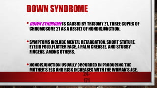 24-
171
DOWN SYNDROME
•DOWN SYNDROME IS CAUSED BY TRISOMY 21, THREE COPIES OF
CHROMOSOME 21 AS A RESULT OF NONDISJUNCTION.
•SYMPTOMS INCLUDE MENTAL RETARDATION, SHORT STATURE,
EYELID FOLD, FLATTER FACE, A PALM CREASES, AND STUBBY
FINGERS, AMONG OTHERS.
•NONDISJUNCTION USUALLY OCCURRED IN PRODUCING THE
MOTHER’S EGG AND RISK INCREASES WITH THE WOMAN’S AGE.
 