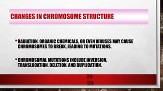 24-
174
CHANGES IN CHROMOSOME STRUCTURE
•RADIATION, ORGANIC CHEMICALS, OR EVEN VIRUSES MAY CAUSE
CHROMOSOMES TO BREAK, LEADING TO MUTATIONS.
•CHROMOSOMAL MUTATIONS INCLUDE INVERSION,
TRANSLOCATION, DELETION, AND DUPLICATION.
 