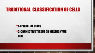 TRADITIONAL CLASSIFICATION OF CELLS
•1-EPITHELIAL CELLS
•2-CONNECTIVE TISSUE OR MESENCHYME
CELL
 