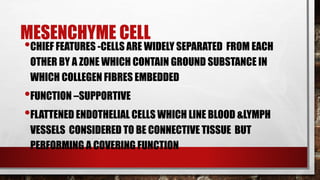 MESENCHYME CELL
•CHIEF FEATURES -CELLS ARE WIDELY SEPARATED FROM EACH
OTHER BY A ZONE WHICH CONTAIN GROUND SUBSTANCE IN
WHICH COLLEGEN FIBRES EMBEDDED
•FUNCTION –SUPPORTIVE
•FLATTENED ENDOTHELIAL CELLS WHICH LINE BLOOD &LYMPH
VESSELS CONSIDERED TO BE CONNECTIVE TISSUE BUT
PERFORMING A COVERING FUNCTION
 