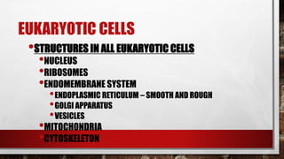 EUKARYOTIC CELLS
•STRUCTURES IN ALL EUKARYOTIC CELLS
•NUCLEUS
•RIBOSOMES
•ENDOMEMBRANE SYSTEM
•ENDOPLASMIC RETICULUM – SMOOTH AND ROUGH
•GOLGI APPARATUS
•VESICLES
•MITOCHONDRIA
•CYTOSKELETON
 