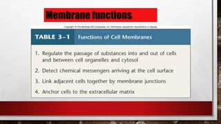 Membrane functions:
 