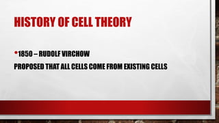 HISTORY OF CELL THEORY
•1850 – RUDOLF VIRCHOW
PROPOSED THAT ALL CELLS COME FROM EXISTING CELLS
 