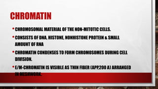 CHROMATIN
•CHROMOSOMAL MATERIAL OF THE NON-MITOTIC CELLS.
•CONSISTS OF DNA, HISTONE, NONHISTONE PROTEIN & SMALL
AMOUNT OF RNA
•CHROMATIN CONDENSES TO FORM CHROMOSOMES DURING CELL
DIVISION.
•E/M-CHROMATIN IS VISIBLE AS THIN FIBER (APP,200 A) ARRANGED
IN MESHWORK.
 