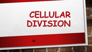 CELLULAR
DIVISION
80
 