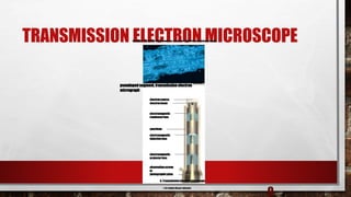 TRANSMISSION ELECTRON MICROSCOPE
9
electronsource
electronbeam
b.Transmissionelectronmicroscope
specimen
200nm
pseudopod segment,transmissionelectron
micrograph
observationscreen
or
photographicplate
electromagnetic
objectivelens
electromagnetic
condenserlens
electromagnetic
projectorlens
© M. Schliwa/Visuals Unlimited
Copyright© TheMcGraw-HillCompanies,Inc.Permissionrequiredforreproductionordisplay.
 
