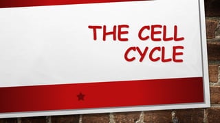 THE CELL
CYCLE
90
 