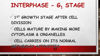 INTERPHASE - G1 STAGE
1ST GROWTH STAGE AFTER CELL
DIVISION
CELLS MATURE BY MAKING MORE
CYTOPLASM & ORGANELLES
CELL CARRIES ON ITS NORMAL
METABOLIC ACTIVITIES
93
 