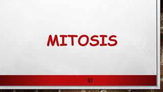 MITOSIS
97
 