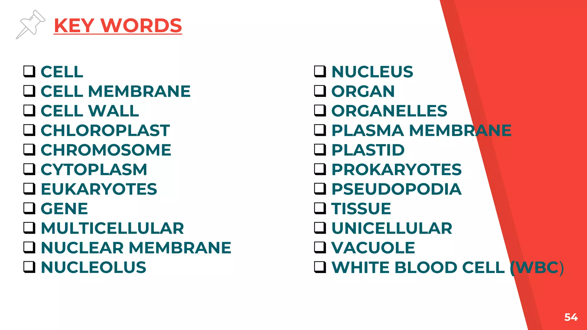 CELL- STRUCTURE AND FUNCTIONS CLASS 8.pptx