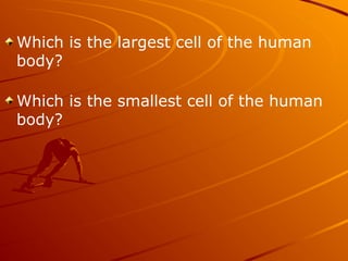 Which is the largest cell of the human
body?
Which is the smallest cell of the human
body?
 