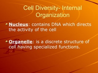 Cell Diversity- Internal
Organization
Nucleus: contains DNA which directs
the activity of the cell
Organelle: is a discrete structure of
cell having specialized functions.
 