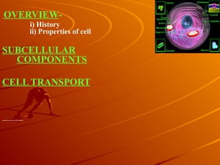 OVERVIEW-
i) History
ii) Properties of cell
SUBCELLULAR
COMPONENTS
CELL TRANSPORT
 