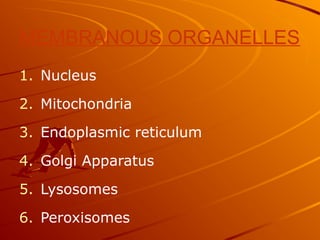 MEMBRANOUS ORGANELLES
1. Nucleus
2. Mitochondria
3. Endoplasmic reticulum
4. Golgi Apparatus
5. Lysosomes
6. Peroxisomes
 