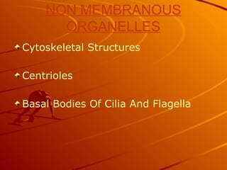 NON MEMBRANOUS
ORGANELLES
Cytoskeletal Structures
Centrioles
Basal Bodies Of Cilia And Flagella
 