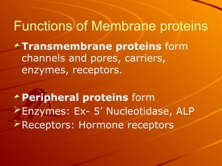 Functions of Membrane proteins
Transmembrane proteins form
channels and pores, carriers,
enzymes, receptors.
Peripheral proteins form
Enzymes: Ex- 5’ Nucleotidase, ALP
Receptors: Hormone receptors
 