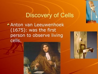 Discovery of Cells
Anton van Leeuwenhoek
(1675): was the first
person to observe living
cells.
 