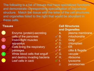 The following is a list of tissues that have specialized functions
and demonstrate corresponding specialization of subcellular
structure. Match the tissue with the letter of the cell structures
and organelles listed to the right that would be abundant in
these cells.
Tissues Cell Structures
and Organelles
1. Enzyme (protein)-secreting A. plasma membrane
cells of the pancreas B. mitochondria
2. Insect flight muscles C. Golgi
apparatus D. chloroplast
3. Cells lining the respiratory E. ER
passages F. cillia & flagella
4. White blood cells that engulf G. vacuole
and destroy invading bacteria H. ribosome
5. Leaf cells in cacti I. lysosome
J. peroxisomes








 