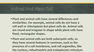 Cell – the basic unit of life