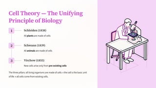 Cell Theory 4 The Unifying
Principle of Biology
1 Schleiden (1838)
All plants are made of cells
2 Schwann (1839)
All animals are made of cells
3 Virchow (1855)
New cells arise only from pre-existing cells
The three pillars: all living organisms are made of cells ³ the cell is the basic unit
of life ³ all cells come from existing cells.
 