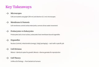 Key Takeaways
Microscopes
Cells are studied using light (200 nm) and electron (0.1 nm) microscopes
Membrane & Osmosis
Cell membrane controls what enters/exits; osmosis drives water movement
Prokaryotes vs Eukaryotes
Prokaryotes lack a true nucleus; eukaryotes have membrane-bound organelles
Organelles
Nucleus (control), mitochondria (energy), Golgi (packaging) — each with a specific job
Cell Division
Mitosis = identical copies for growth; Meiosis = diverse gametes for reproduction
Cell Theory
Unifies all of biology — from bacteria to humans
 