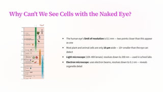 Why Can't We See Cells with the Naked Eye?
The human eye's limit of resolution is 0.1 mm 4 two points closer than this appear
as one
Most plant and animal cells are only 10 µm wide 4 10× smaller than the eye can
detect
Light microscope (10X340X lenses): resolves down to 200 nm 4 used in school labs
Electron microscope: uses electron beams, resolves down to 0.1 nm 4 reveals
organelle detail
 