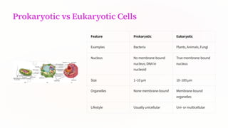 Prokaryotic vs Eukaryotic Cells
Feature Prokaryotic Eukaryotic
Examples Bacteria Plants, Animals, Fungi
Nucleus No membrane-bound
nucleus; DNA in
nucleoid
True membrane-bound
nucleus
Size 1310 µm 103100 µm
Organelles None membrane-bound Membrane-bound
organelles
Lifestyle Usually unicellular Uni- or multicellular
 