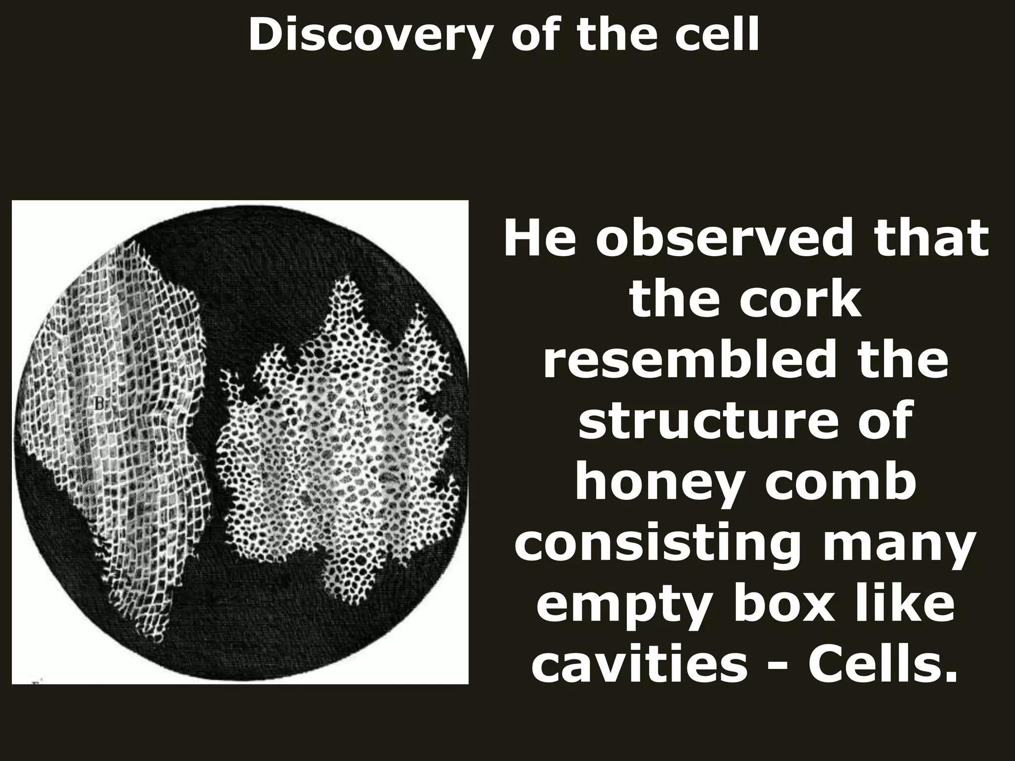 Discovery of the cell
He observed that
the cork
resembled the
structure of
honey comb
consisting many
empty box like
cavities - Cells.
 