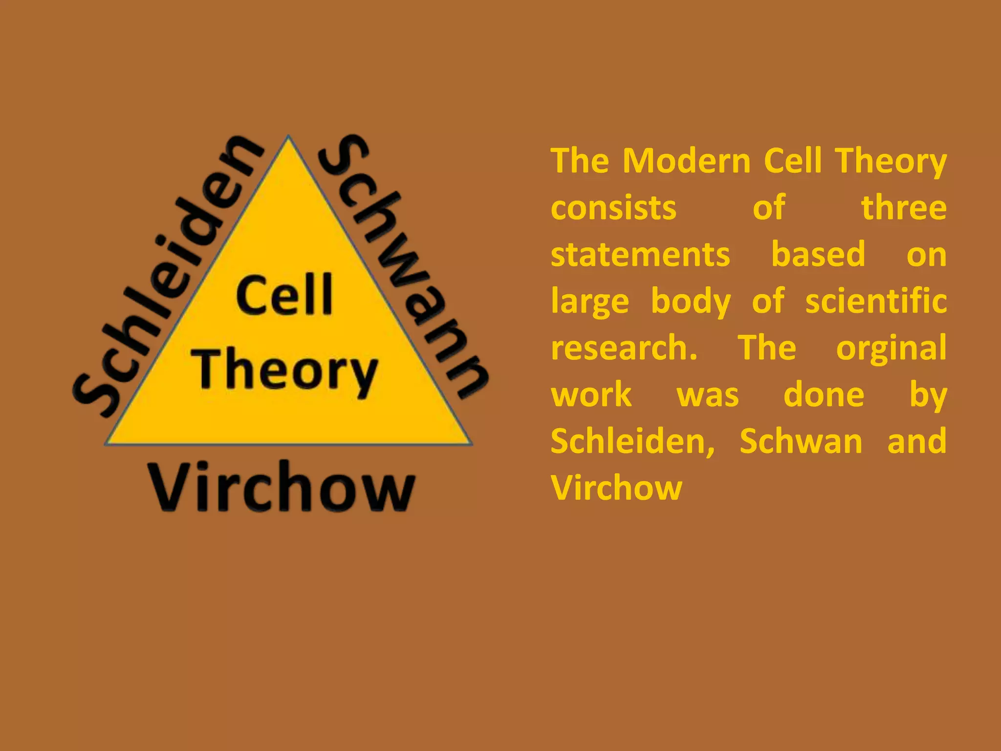 The Modern Cell Theory
consists of three
statements based on
large body of scientific
research. The orginal
work was done by
Schleiden, Schwan and
Virchow
 