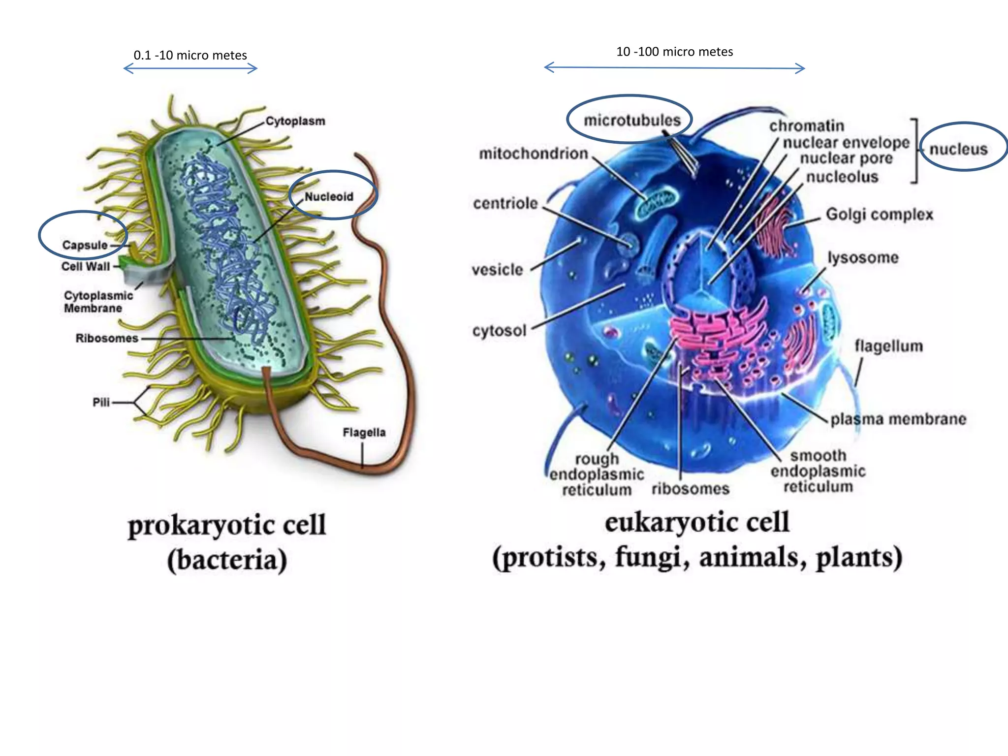 0.1 -10 micro metes 10 -100 micro metes
 