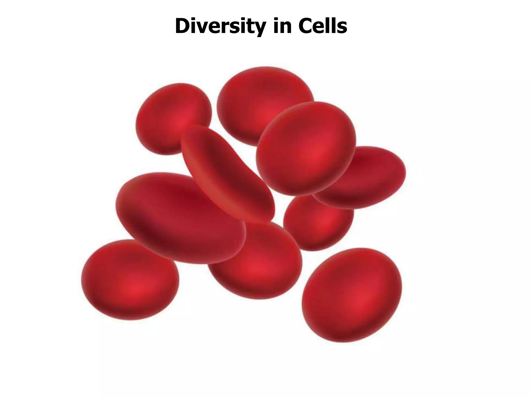 Diversity in Cells
 