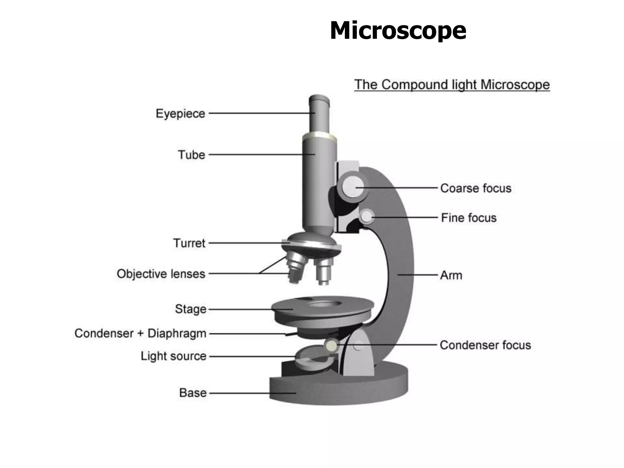 Microscope
 
