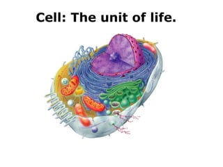 Cell: The unit of life.
 