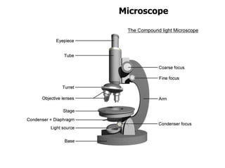Cell the basic unit of life | PPTX