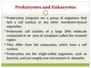 Comprehensive Overview of The Fundamental Unit of Life: Cells and Their ...