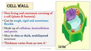 CELL: THE LIFE | PDF