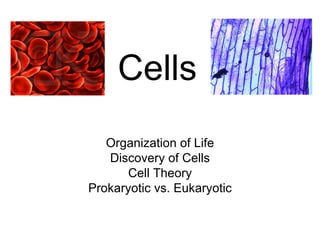 Cells Organization of Life Discovery of Cells Cell Theory Prokaryotic vs. Eukaryotic 