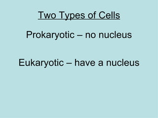 Two Types of Cells Prokaryotic – no nucleus Eukaryotic – have a nucleus 