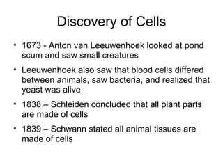 Discovery of Cells 1673 - Anton van Leeuwenhoek looked at pond scum and saw small creatures Leeuwenhoek also saw that blood cells differed between animals, saw bacteria, and realized that yeast was alive 1838 – Schleiden concluded that all plant parts are made of cells 1839 – Schwann stated all animal tissues are made of cells 