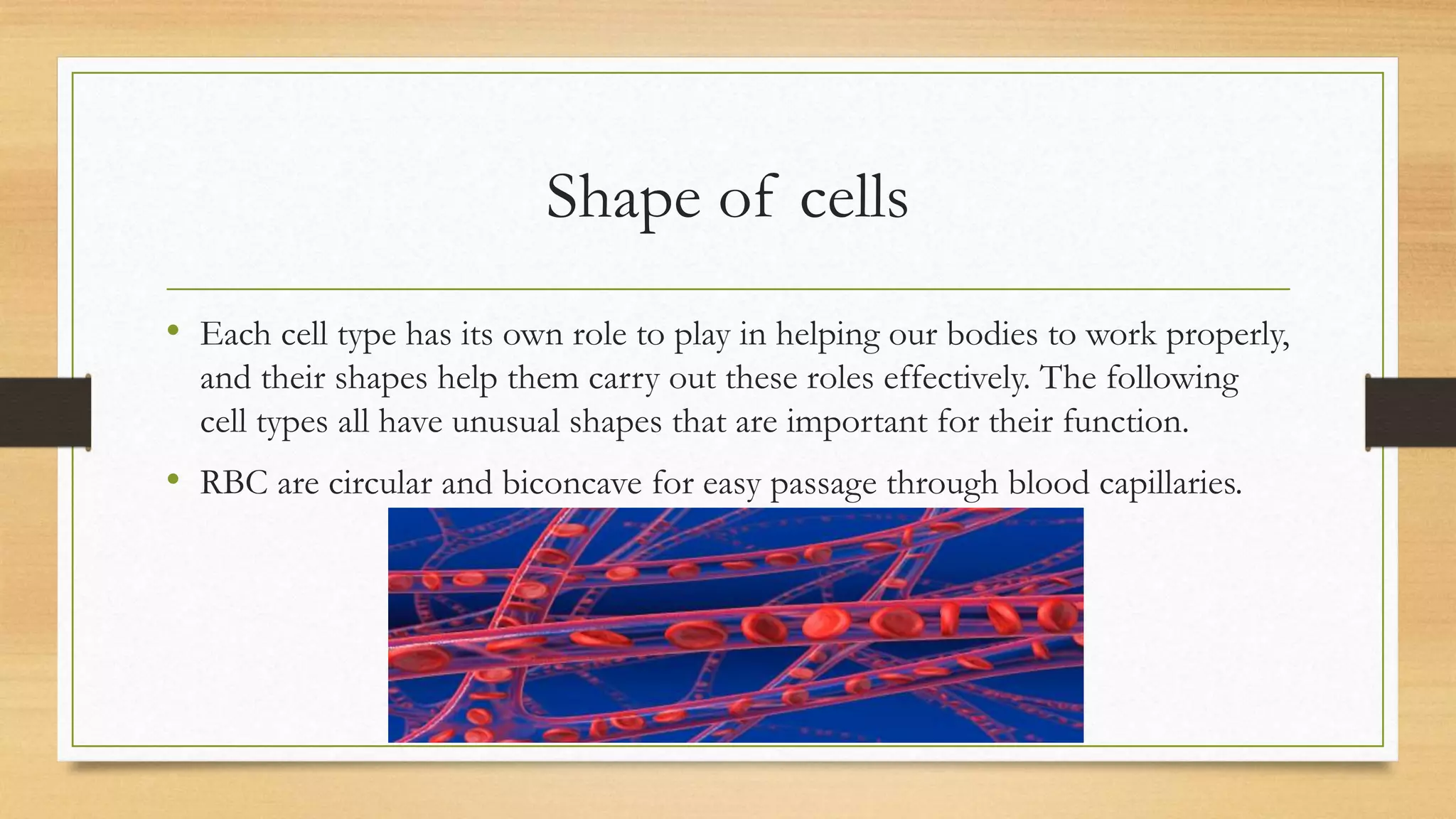 Cell the structrural and functional unit of life | PPTX