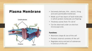 Cell the structrural and functional unit of life | PPTX